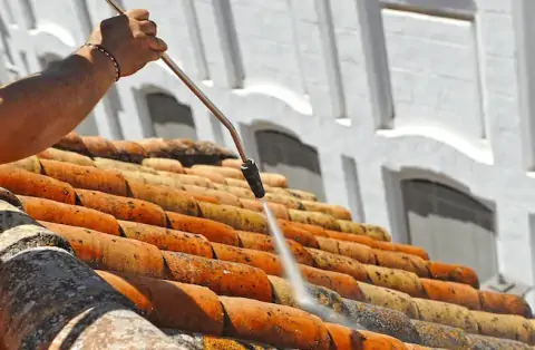 Nettoyage de toitures - Roches-sur-Marne